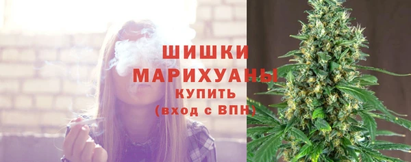 ECSTASY Вяземский