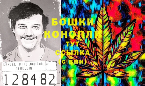 ECSTASY Вяземский