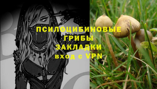 соль ск Вязники