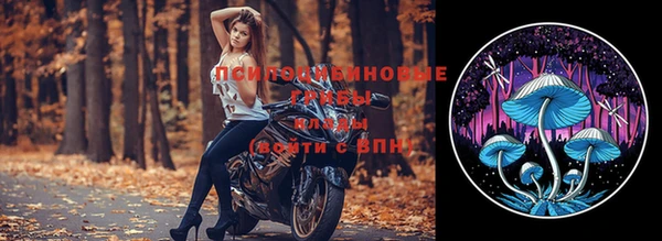 тгк Вязьма