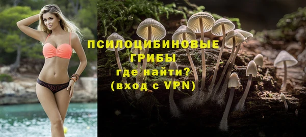 тгк Вязьма