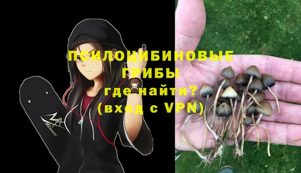 прущие грибы Сосновоборск