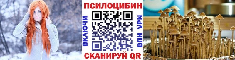 Псилоцибиновые грибы мухоморы  продажа наркотиков  Ярцево 