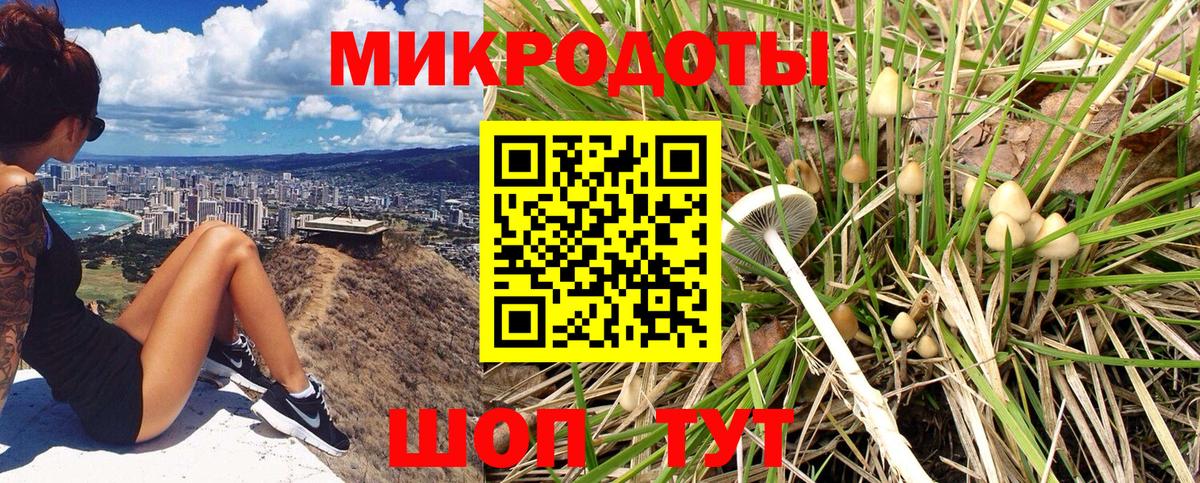 Галлюциногенные грибы прущие грибы  Псилоцибиновые грибы мухоморы  Вход с VPN  Ярцево 